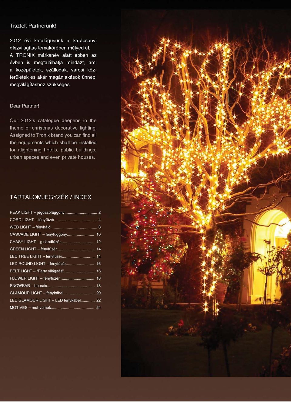 Our 2012 s catalogue deepens in the theme of christmas decorative lighting.