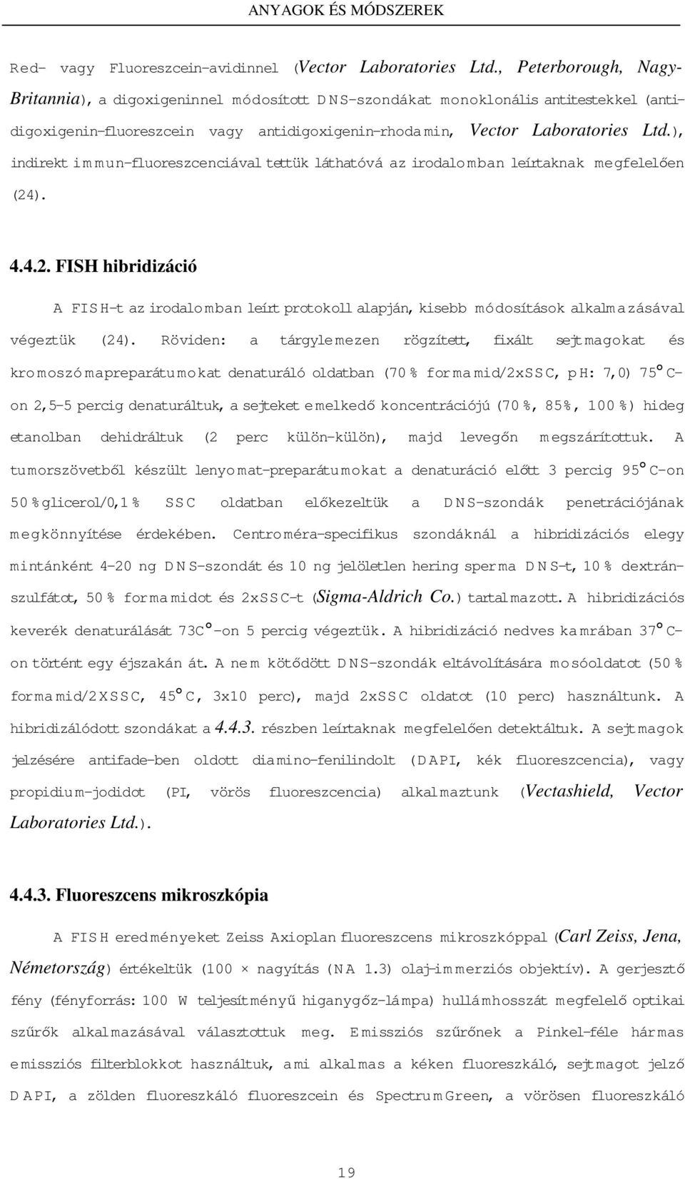 ), indirekt immun-fluoreszcenciával tettük láthatóvá az irodalomban leírtaknak megfelelıen (24