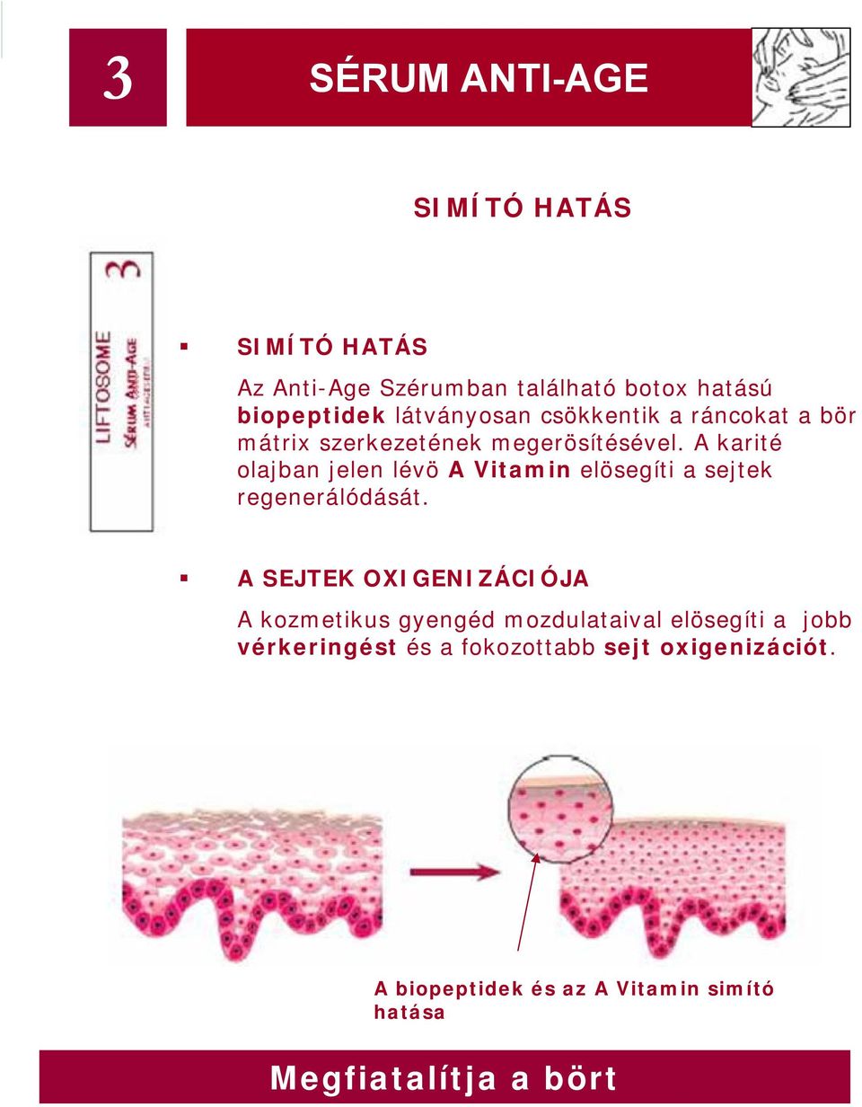 A karité olajban jelen lévö A Vitamin elösegíti a sejtek regenerálódását.