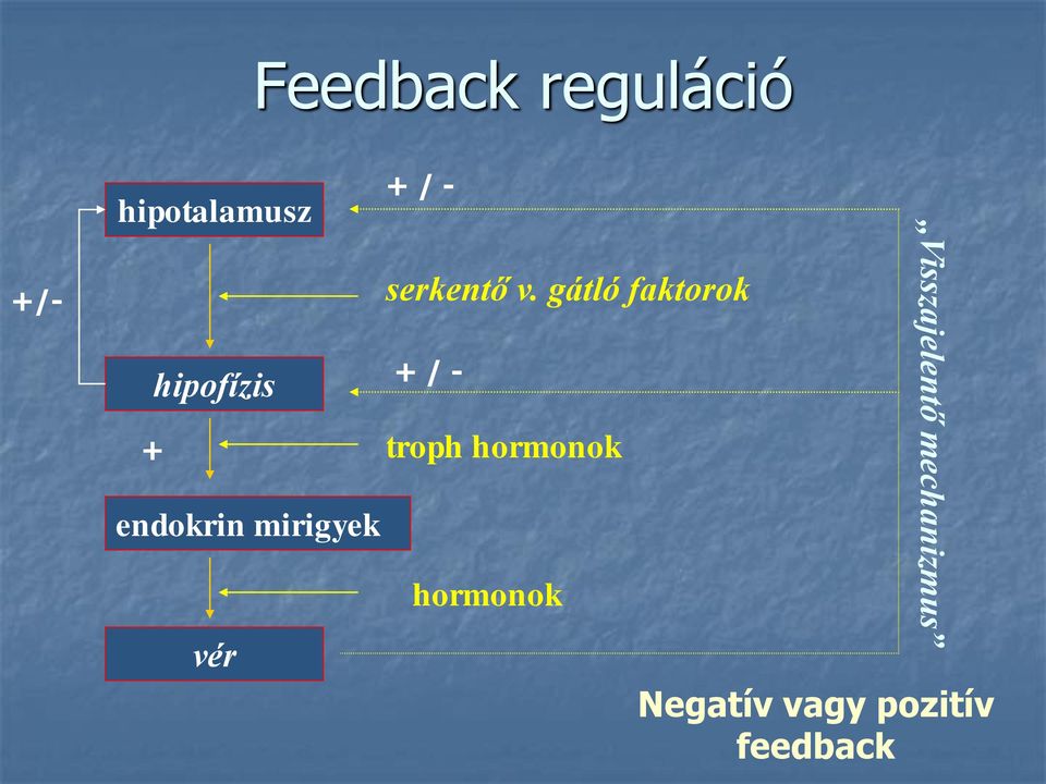 v. gátló faktorok + / - troph hormonok