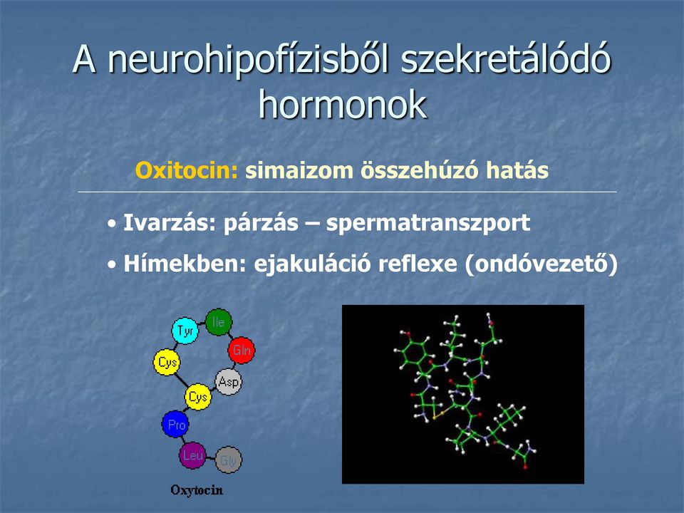 hatás Ivarzás: párzás