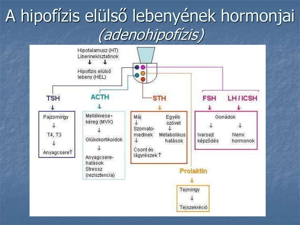 lebenyének