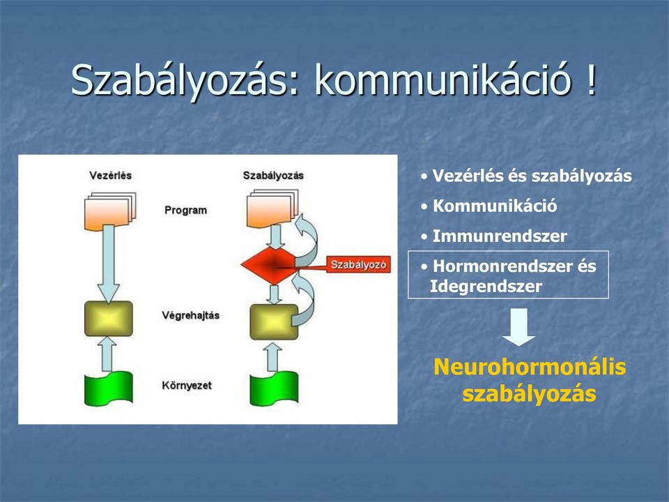 Kommunikáció Immunrendszer