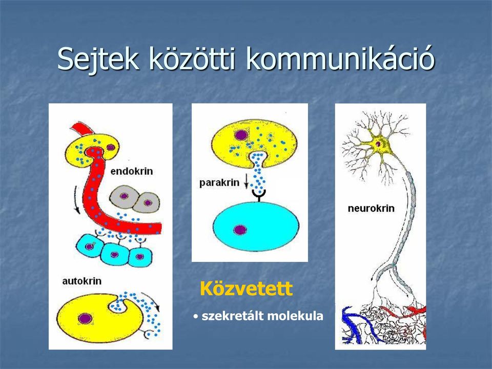 Közvetett