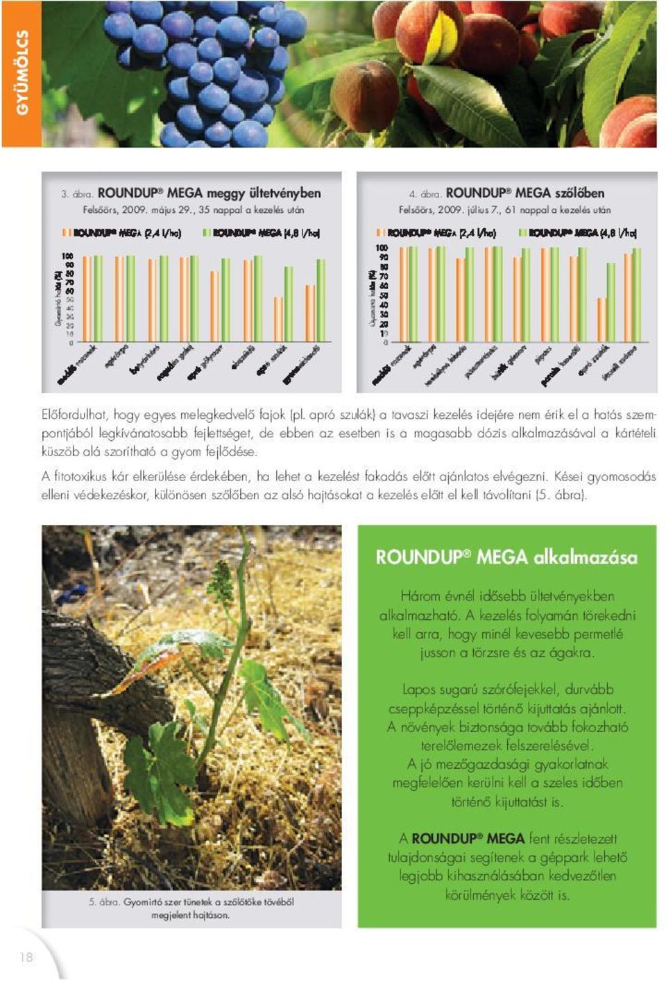 fejlődése. elleni védekezéskor, különösen szőlőben az alsó hajtásokat a kezelés előtt el kell távolítani (5. ábra). ROUNDUP alkalmazható.