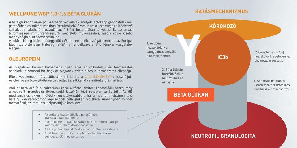 Ez az anyag létfontosságú immunrendszerünk megfelelő működéséhez, mégis egyre kisebb mennyiségben jut szervezetünkbe.