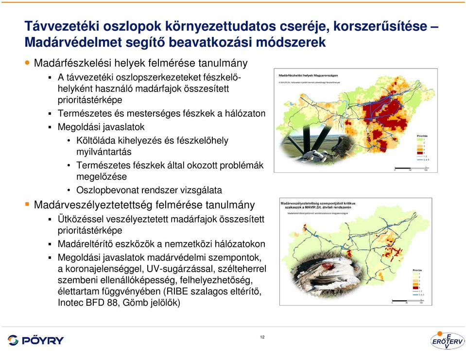 okozott problémák megelőzése Oszlopbevonat rendszer vizsgálata Madárveszélyeztetettség felmérése tanulmány Ütközéssel veszélyeztetett madárfajok összesített prioritástérképe Madáreltérítő eszközök a