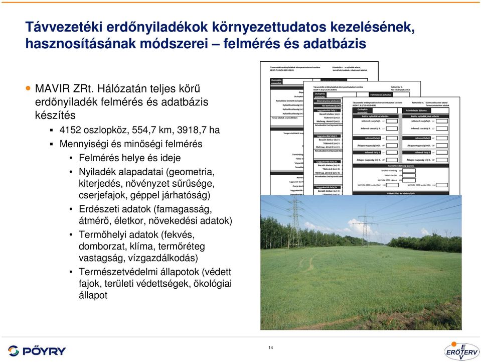 és ideje Nyiladék alapadatai (geometria, kiterjedés, növényzet sűrűsége, cserjefajok, géppel járhatóság) Erdészeti adatok (famagasság, átmérő,