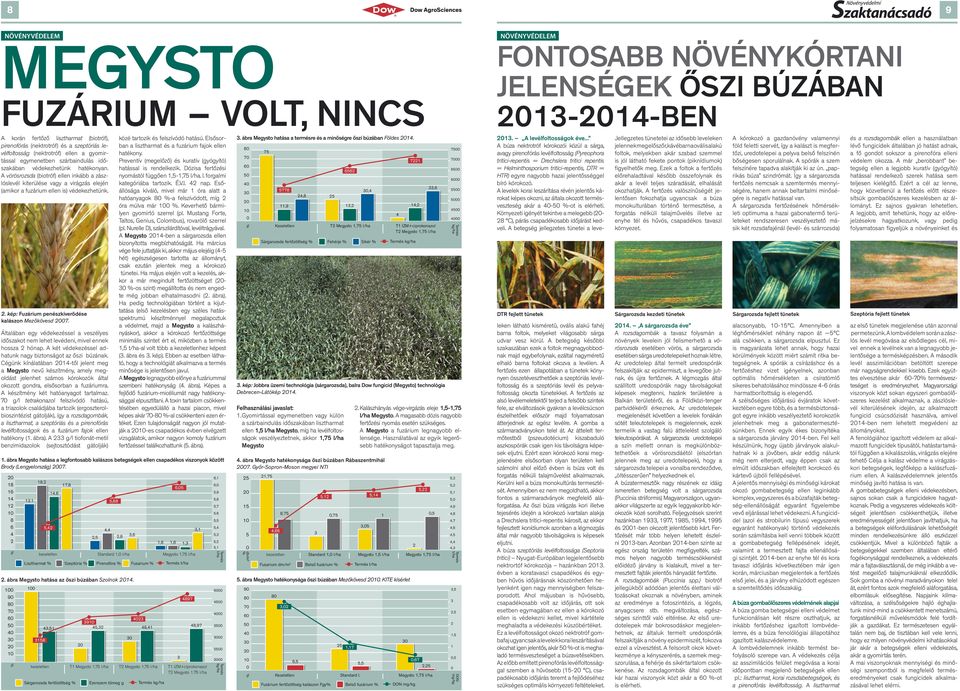 A vörösrozsda (biotróf) ellen inkább a zászlóslevél kiterülése vagy a virágzás elején (amikor a fuzárium ellen is) védekezhetünk.. kép: Fuzárium penészkiverõdése kalászon Mezõkövesd.