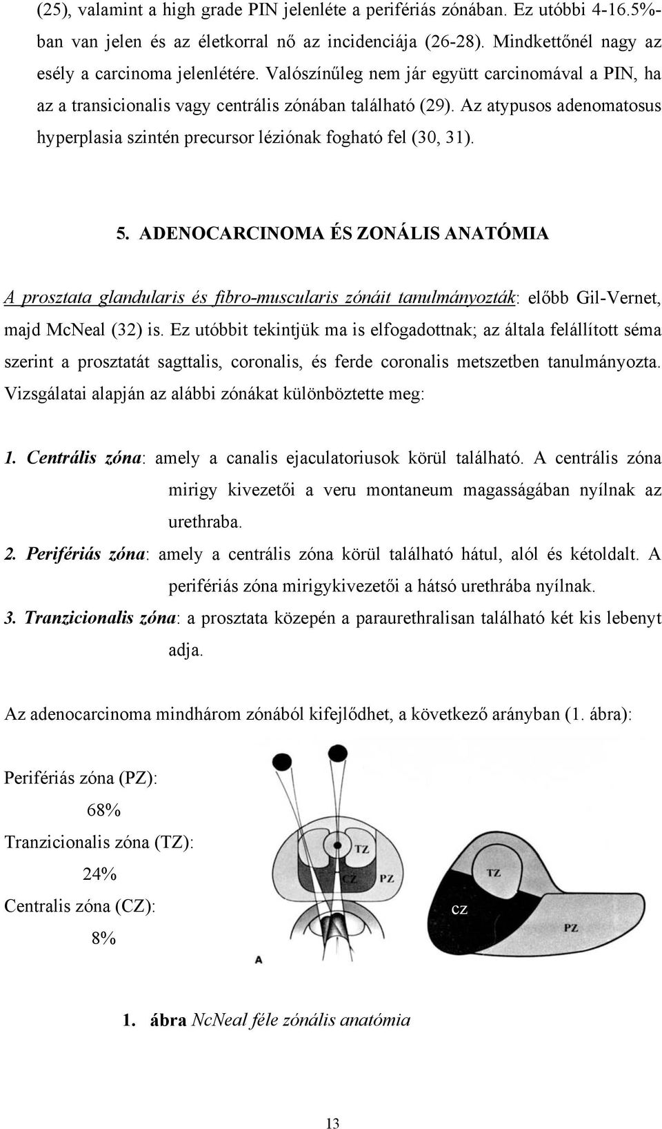 ADENOCARCINOMA ÉS ZONÁLIS ANATÓMIA A prosztata glandularis és fibro-muscularis zónáit tanulmányozták: előbb Gil-Vernet, majd McNeal (32) is.