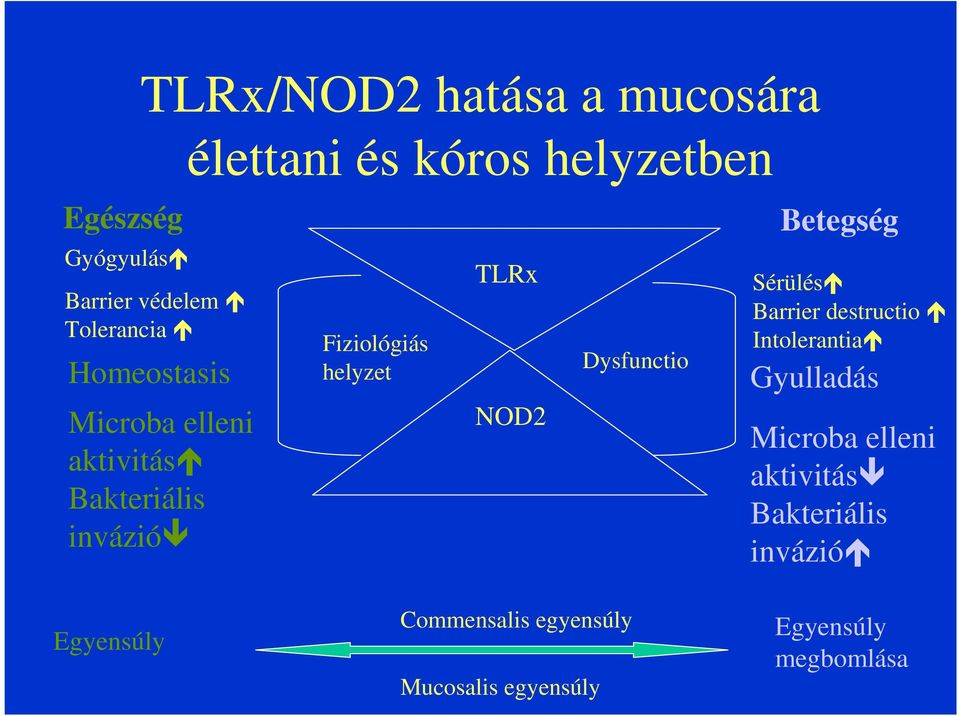 NOD2 Dysfunctio Betegség Sérülés Barrier destructio Intolerantia Gyulladás Microba elleni