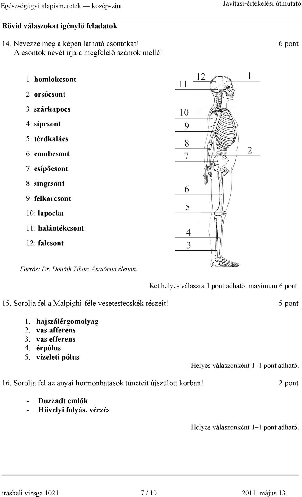 Dr. Donáth Tibor: Anatómia élettan. Két helyes válaszra 1 pont adható, maximum 6 pont. 15. Sorolja fel a Malpighi-féle vesetestecskék részeit! 5 pont 1. hajszálérgomolyag 2.