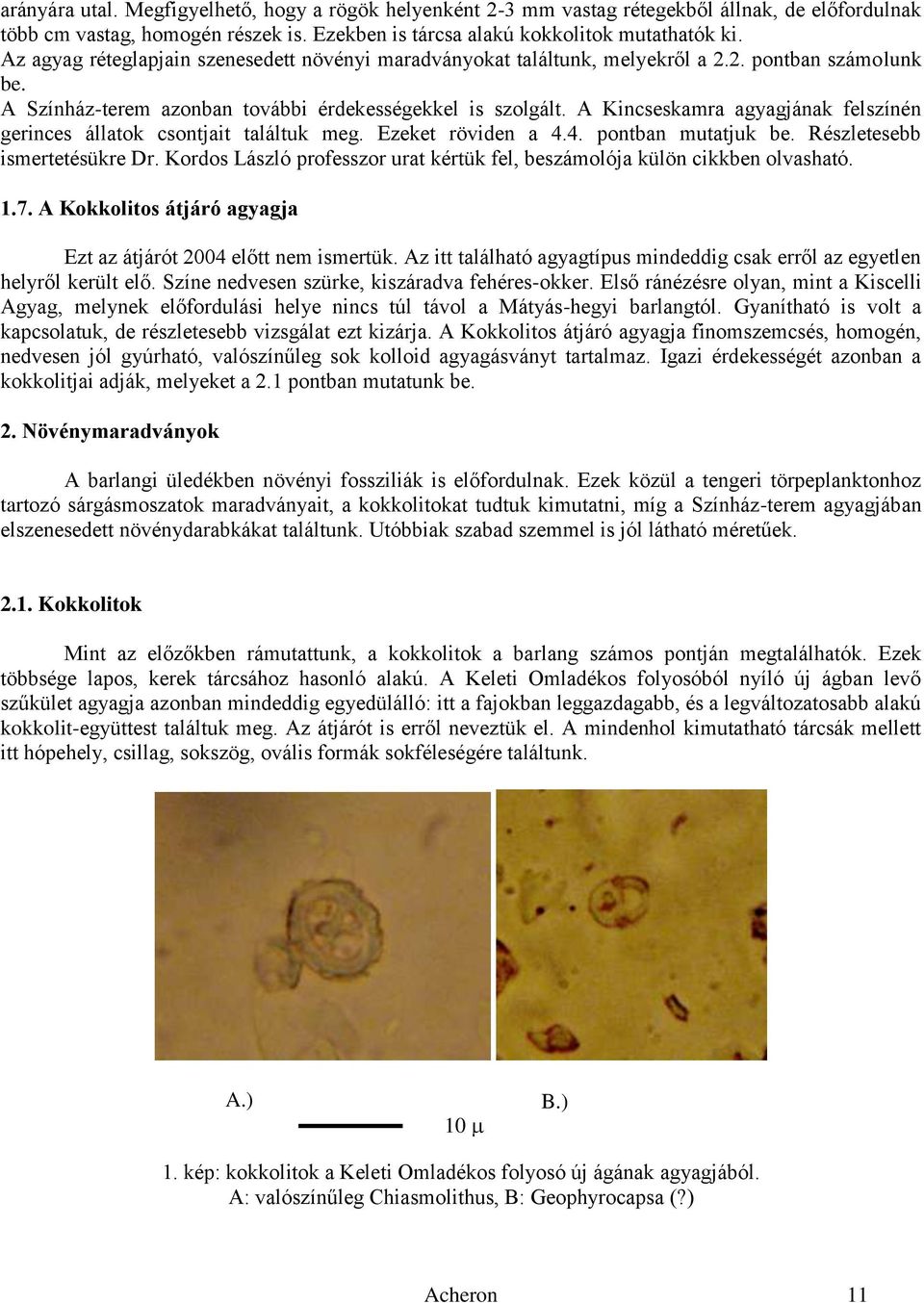 A Kincseskamra agyagjának felszínén gerinces állatok csontjait találtuk meg. Ezeket röviden a 4.4. pontban mutatjuk be. Részletesebb ismertetésükre Dr.