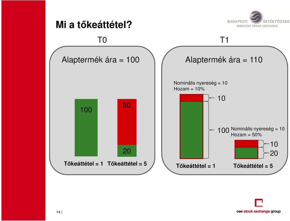 Nominális nyereség = 10 Hozam = 10% 10 20 Tőkeáttétel =