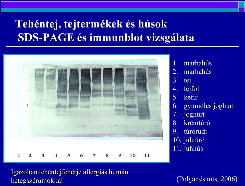 gyümölcs joghurt 7. joghurt 8. krémtúró 9. túrórudi 10. juhtúró 11.