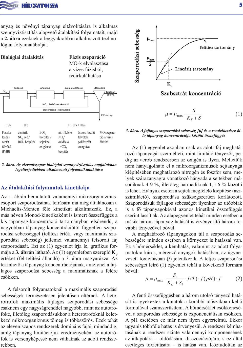 / BOI 5 beépítés BOI 5 beépítés / sejtekbe oxigénnel nitrifikáció NH 4 + oxidáció +CO 2 beépítés összes foszfát felvétele polifoszfát energiával MO szeparáció a vizes fázisból 2. ábra.