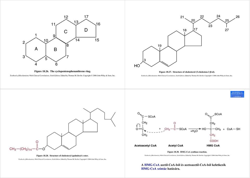 acetoacetil-coa-ból