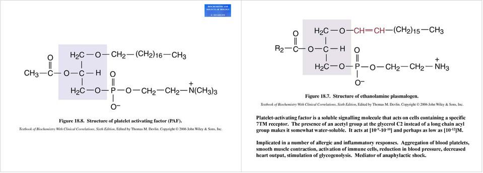 It acts at [10-9 -10-10 ] and perhaps as low as [10-12 ]M. Implicated in a number of allergic and inflammatory responses.