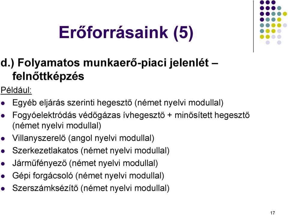 nyelvi modullal) Fogyóelektródás védőgázas ívhegesztő + minősített hegesztő (német nyelvi modullal)