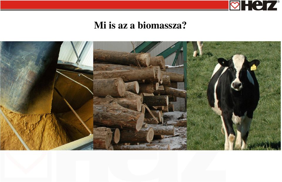 biomssz?