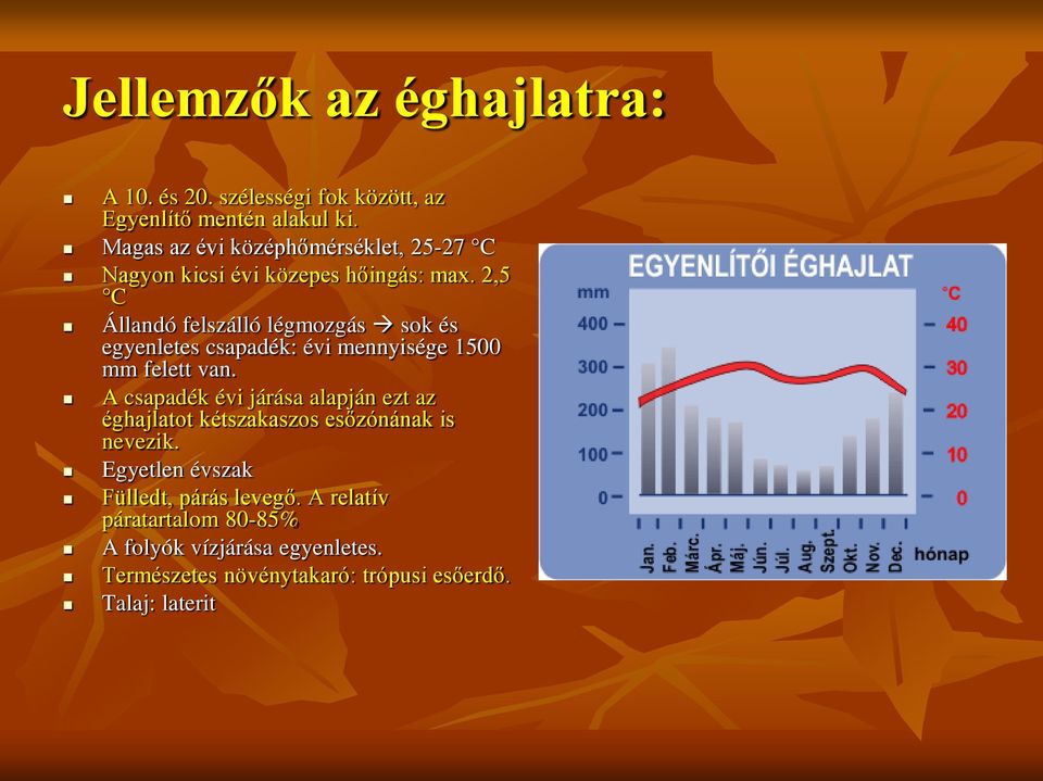 2,5 C Állandó felszálló légmozgás sok és egyenletes csapadék: évi mennyisége 1500 mm felett van.