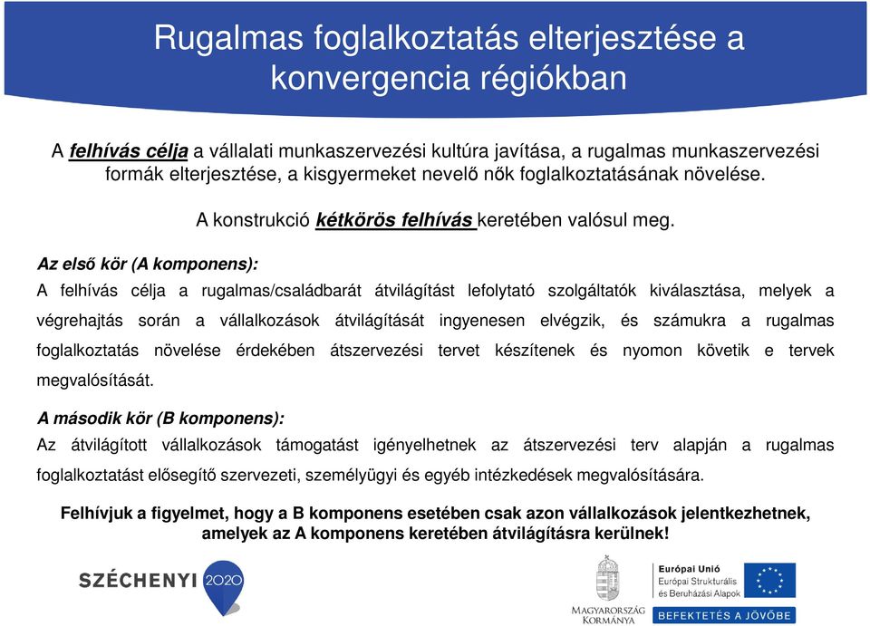 A felhívás célja a rugalmas/családbarát átvilágítást lefolytató szolgáltatók kiválasztása, melyek a végrehajtás során a vállalkozások átvilágítását ingyenesen elvégzik, és számukra a rugalmas