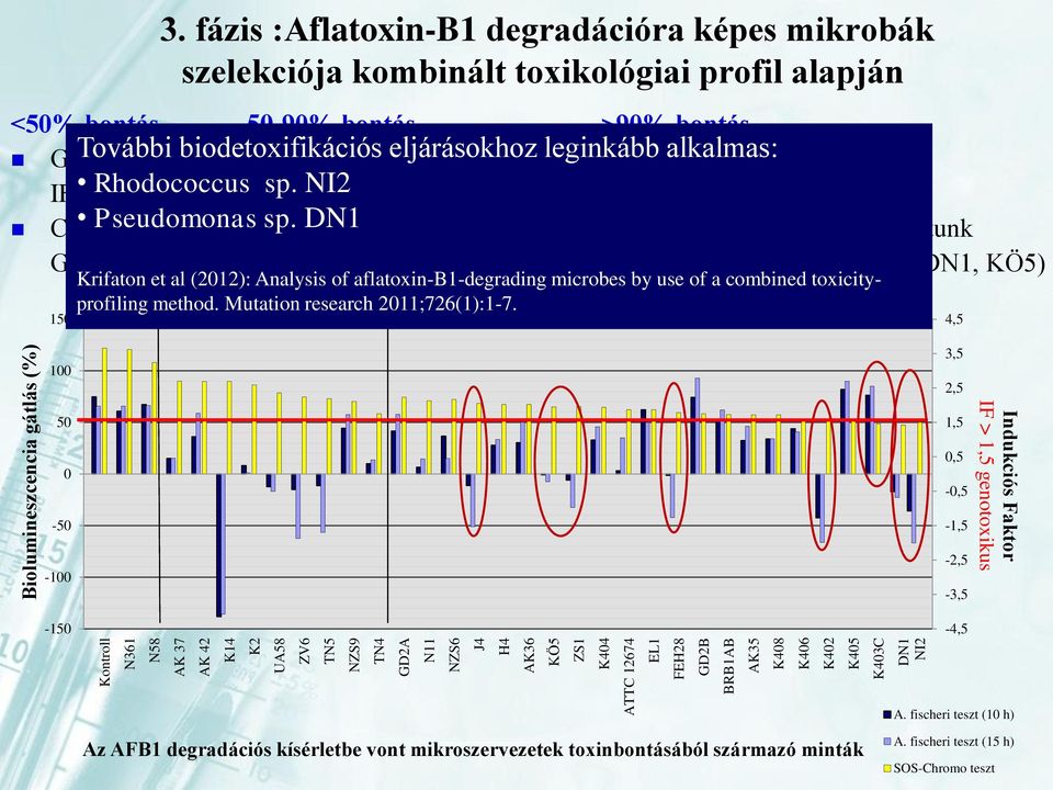 fázis :Aflatoxin-B1 degradációra képes mikrobák szelekciója kombinált toxikológiai profil alapján 50-90% bontás Genotoxicitás IF>1,5 Citotoxicitás nem tapasztaltunk (K14, UA58, ZV6, TN5) >90% bontás