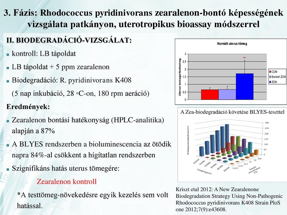 pyridinivorans K408 (5 nap inkubáció, 28 C-on, 180 rpm aeráció) Eredmények: Zearalenon bontási hatékonyság (HPLC-analitika) alapján a 87% Normált uterus tömeg 3 ** 2,5 2 CON 1,5 Bontott ZON ZON 1 0,5