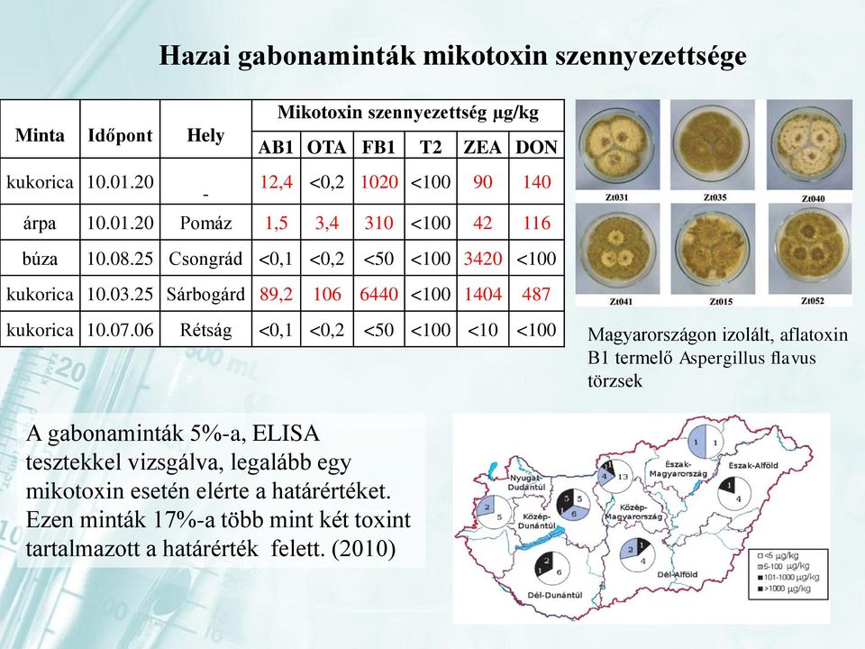 25 Sárbogárd 89,2 106 6440 <100 1404 487 kukorica 10.07.