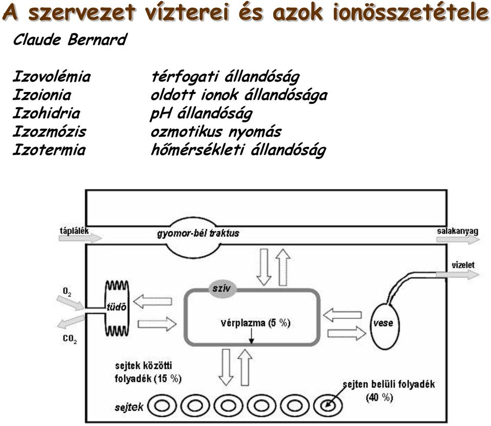 Izotermia térfogati állandóság oldott ionok