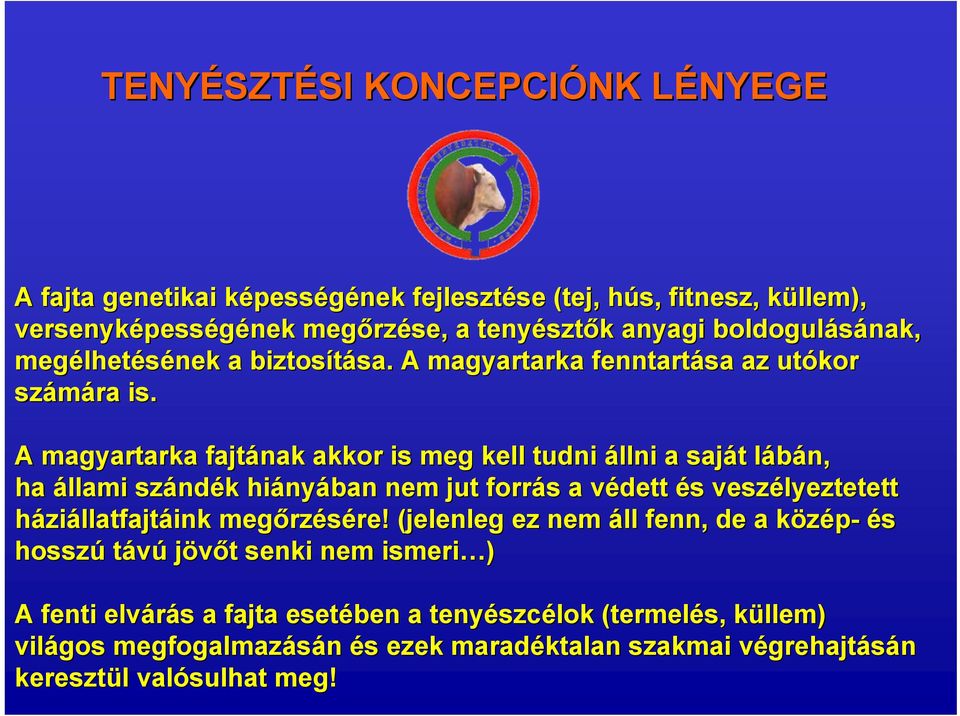 A magyartarka fajtának akkor is meg kell tudni állni a saját t lábán, l ha állami szánd ndék k hiány nyában nem jut forrás s a védett v és s veszélyeztetett háziállatfajtáink megőrz