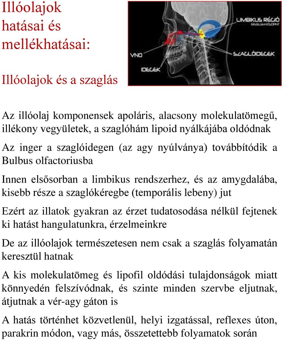 gyakran az érzet tudatosodása nélkül fejtenek ki hatást hangulatunkra, érzelmeinkre De az illóolajok természetesen nem csak a szaglás folyamatán keresztül hatnak A kis molekulatömeg és lipofil