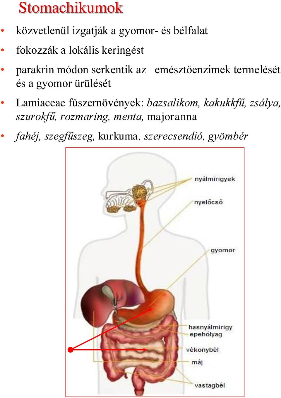 ürülését Lamiaceae fűszernövények: bazsalikom, kakukkfű, zsálya, szurokfű,