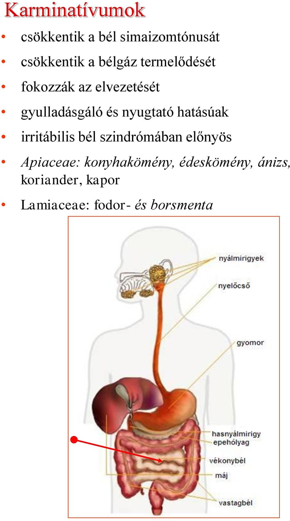 nyugtató hatásúak irritábilis bél szindrómában előnyös Apiaceae: