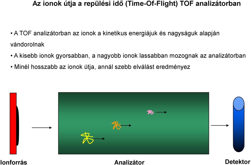 A kisebb ionok gyorsabban, a nagyobb ionok lassabban mozognak az analizátorban