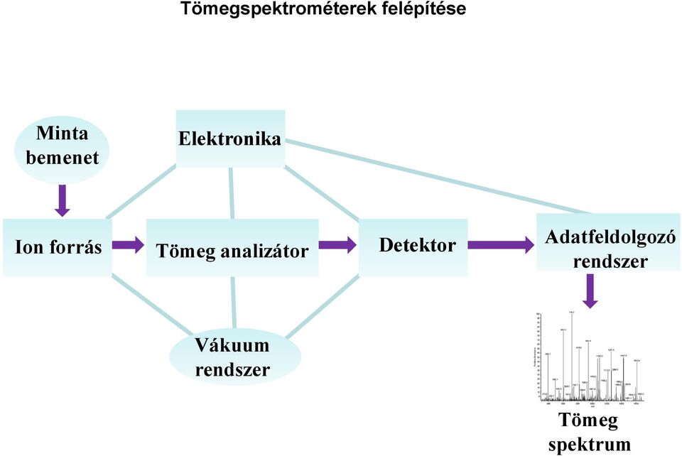 analizátor Detektor Adatfeldolgozó