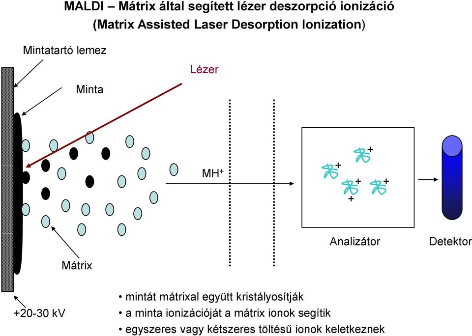 Detektor Mátrix +20-30 kv mintát mátrixal együtt kristályosítják a minta