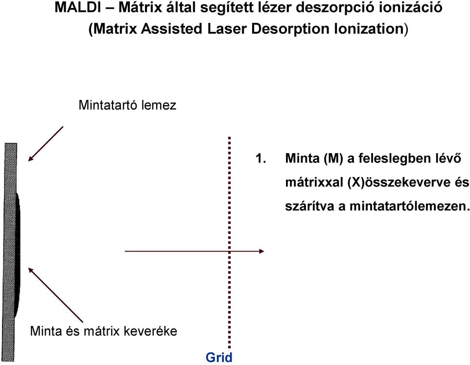 lemez hn 1.