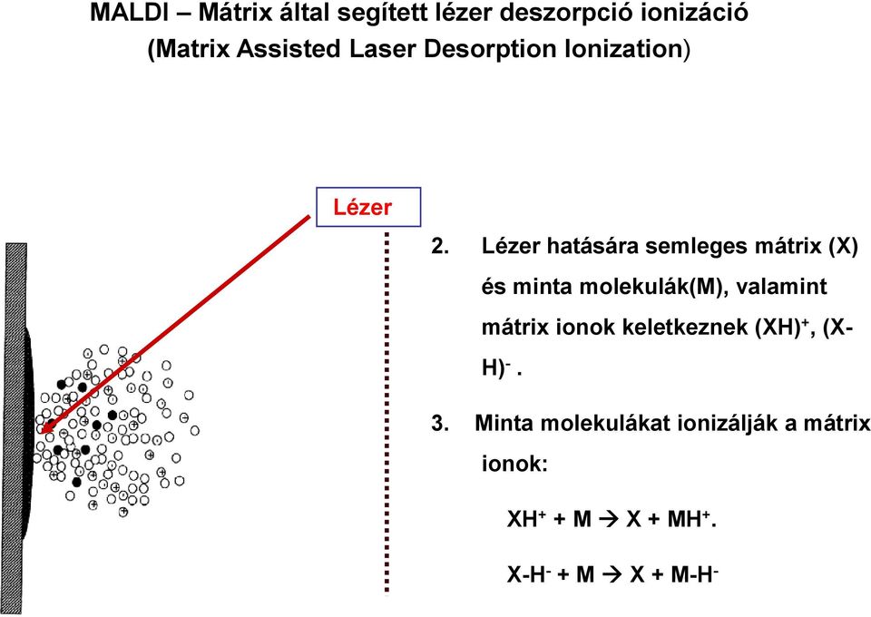 Lézer hatására semleges mátrix (X) és minta molekulák(m), valamint mátrix