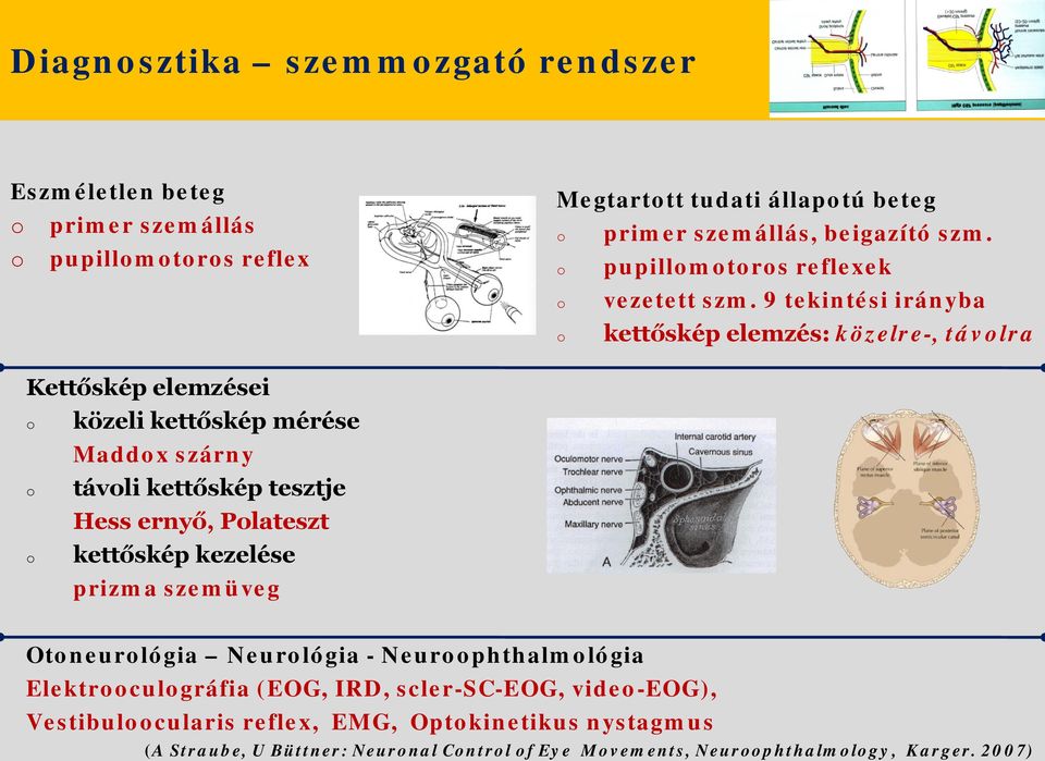 9 tekintési irányba kettőskép elemzés: közelre-, távlra Kettőskép elemzései közeli kettőskép mérése Maddx szárny távli kettőskép tesztje Hess ernyő,