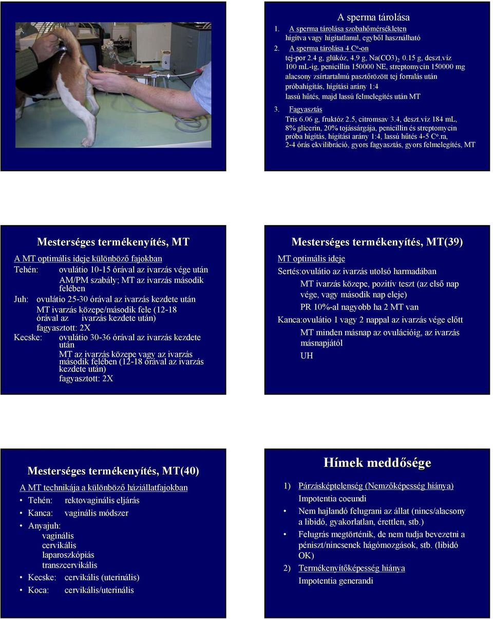 Fagyasztás Tris 6.06 g, fruktóz 2.5, citromsav 3.4, deszt.víz 184 ml, 8% glicerin, 20% tojássárgája, penicillin és streptomycin próba hígítás, hígítási arány 1:4, lassú hűtés 4-5 C o.