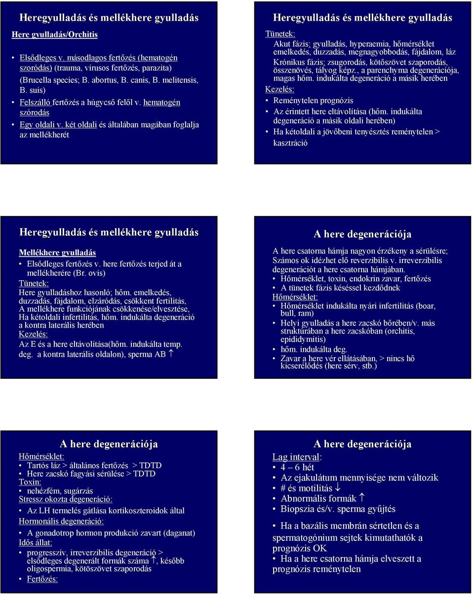 két oldali és általában magában foglalja az mellékherét Heregyulladás és s mellékhere gyulladás Tünetek: Akut fázis: gyulladás, hyperaemia, hőmérséklet emelkedés, duzzadás, megnagyobbodás, fájdalom,