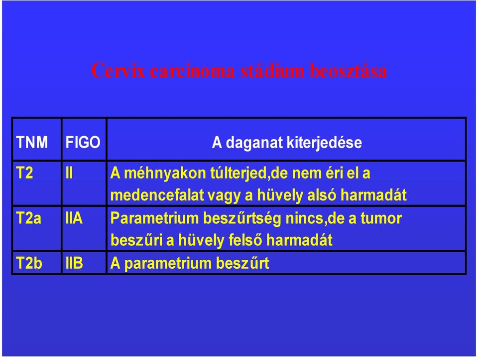 medencefalat vagy a hüvely alsó harmadát T2a IIA Parametrium