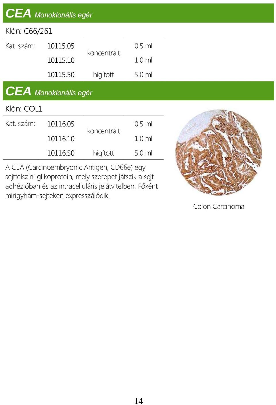 0 ml A CEA (Carcinoembryonic Antigen, CD66e) egy sejtfelszíni glikoprotein, mely szerepet játszik a
