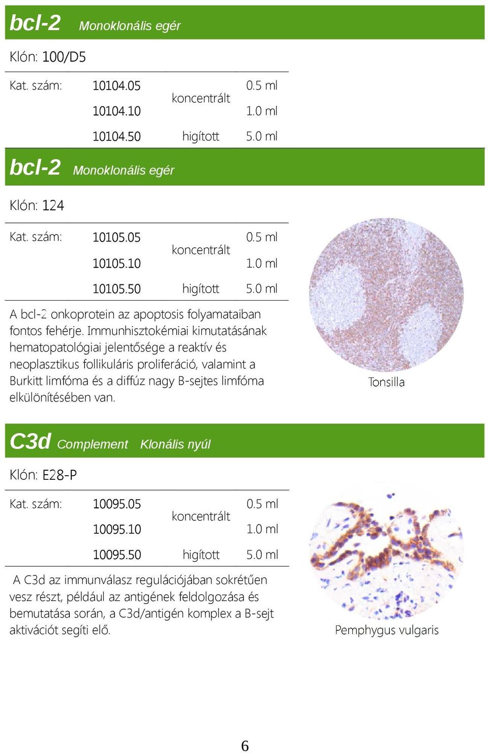 Immunhisztokémiai kimutatásának hematopatológiai jelentősége a reaktív és neoplasztikus follikuláris proliferáció, valamint a Burkitt limfóma és a diffúz nagy B-sejtes limfóma