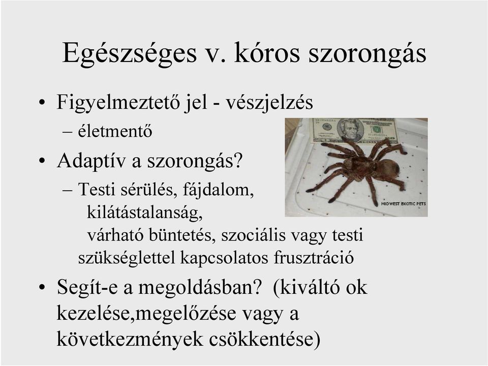 szorongás?