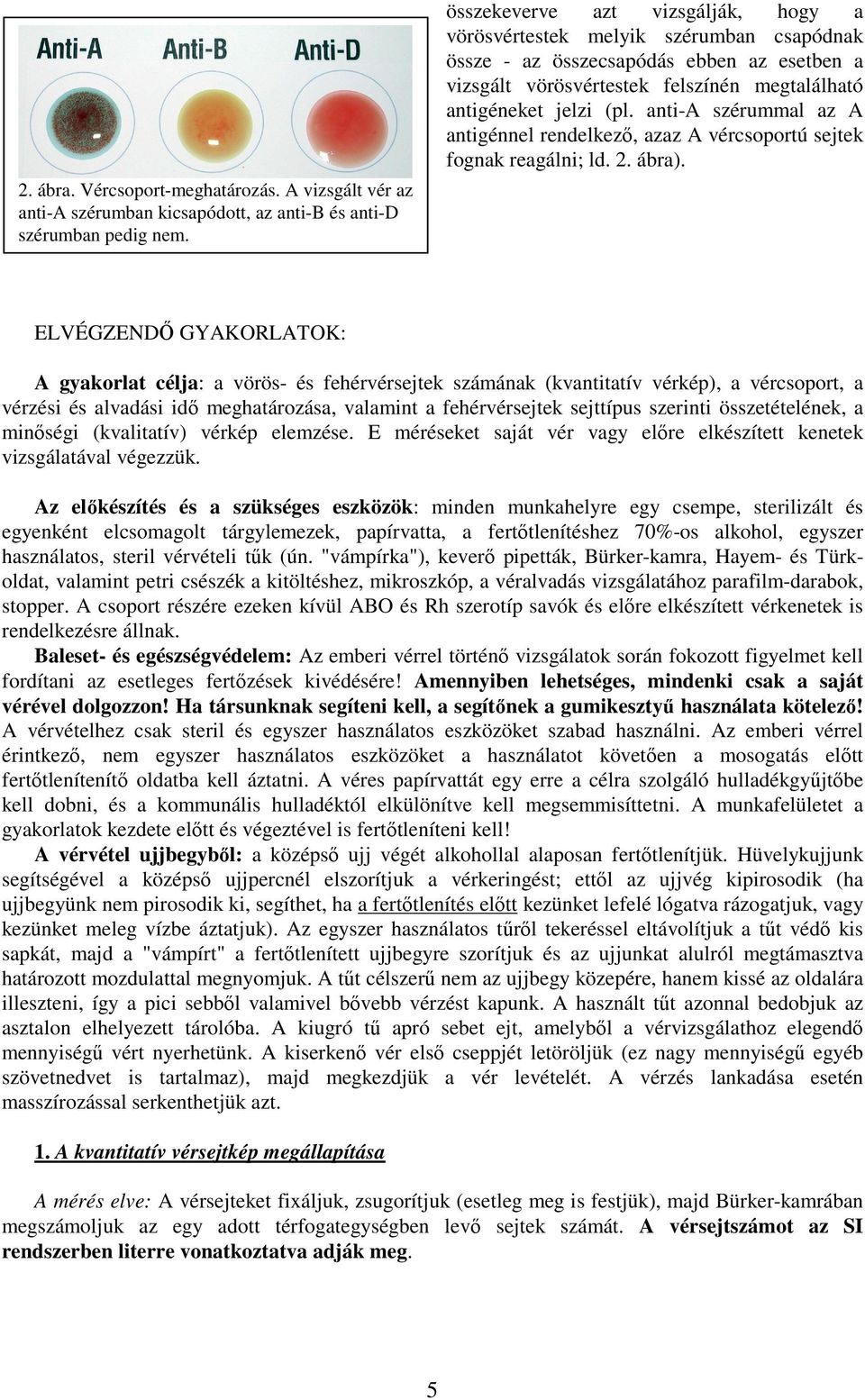 anti-a szérummal az A antigénnel rendelkezı, azaz A vércsoportú sejtek fognak reagálni; ld. 2. ábra).