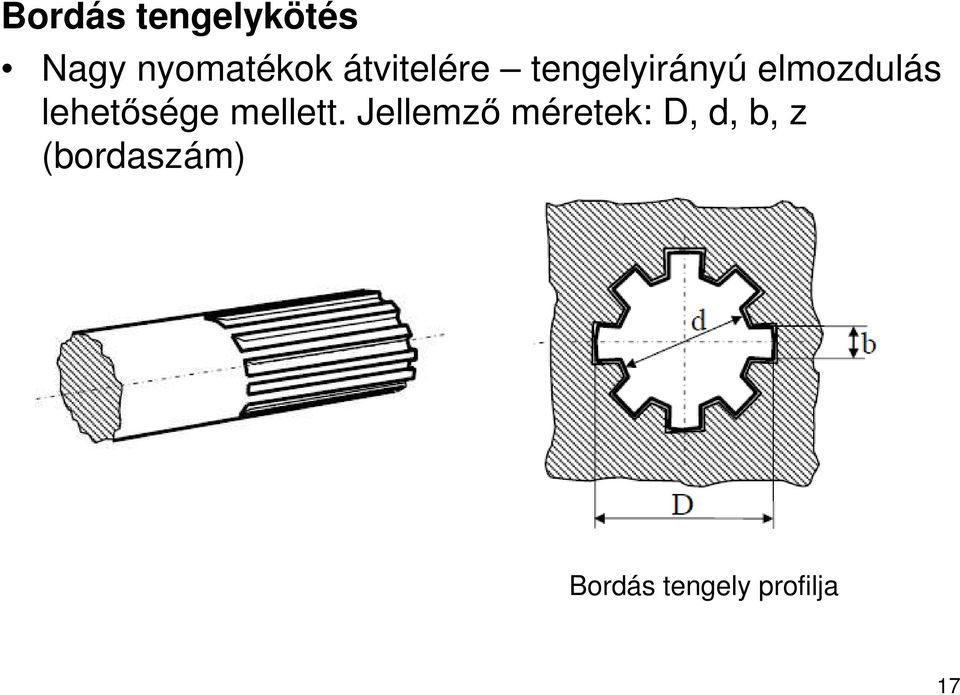 lehetősége mellett.