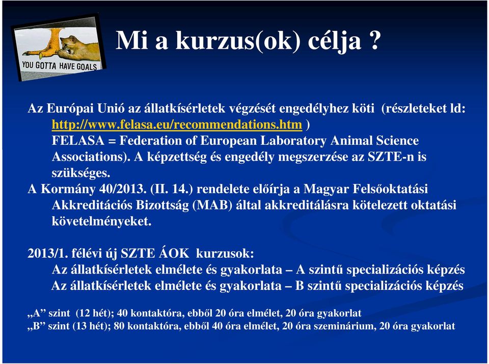 ) rendelete előírja a Magyar Felsőoktatási Akkreditációs Bizottság (MAB) által akkreditálásra kötelezett oktatási követelményeket. 2013/1.