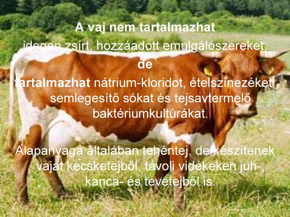 tejsavtermelő baktériumkultúrákat.